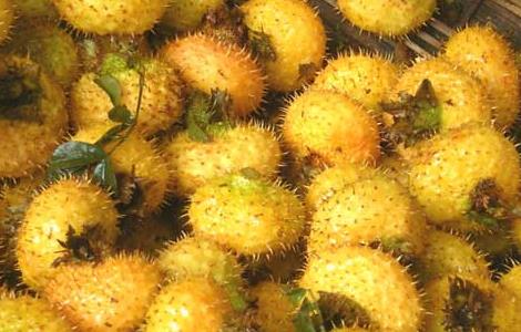 刺梨泡水喝的功效（刺梨泡水喝的功效和作用）