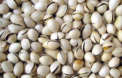 开心果能减肥吗（开心果能减肥吗怎么吃）