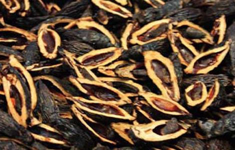 吃槟榔会影响生育吗 吃槟榔会影响生育吗男性