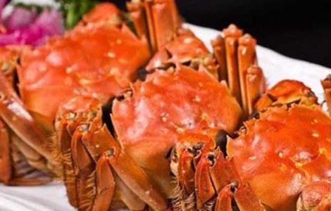 清蒸大闸蟹的做法 清蒸大闸蟹的做法视频