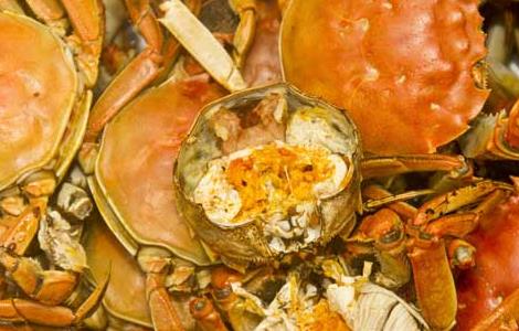 大闸蟹蒸多久才好 大闸蟹蒸多久才好吃