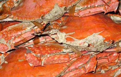 清蒸梭子蟹的做法