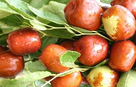 红枣吃多了会怎么样 一天红枣吃多了会怎么样