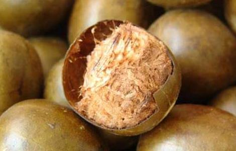 罗汉果怎么泡水喝(罗汉果怎么泡水喝用皮还是瓤)