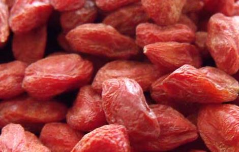 枸杞能提高性功能吗 干嚼吃枸杞能提高性功能吗