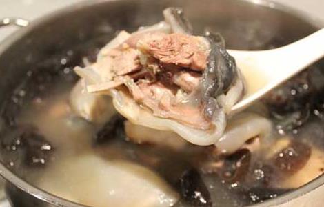 清炖甲鱼汤的家常做法(清炖甲鱼汤的家常做法窍门)