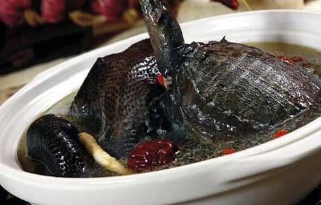 甲鱼补肾汤的家常做法（甲鱼补肾汤 补肾甲鱼汤的做法）