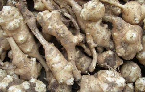 洋姜怎么做好吃 洋姜的腌制方法怎样腌制洋姜好吃