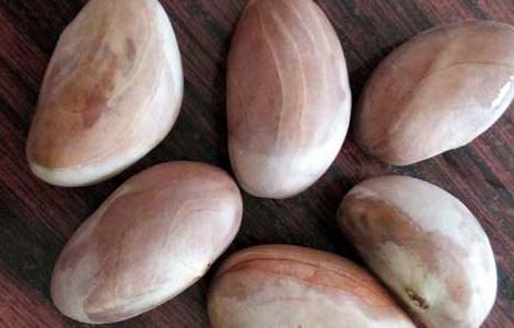 菠萝蜜的核怎么吃 菠萝蜜的核怎么吃法