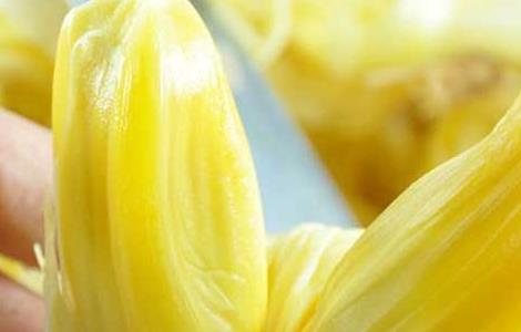 吃菠萝蜜能减肥吗 吃菠萝蜜能减肥吗