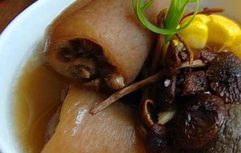 杜仲猪尾汤的功效和做法（杜仲猪尾汤的功效和做法及禁忌）