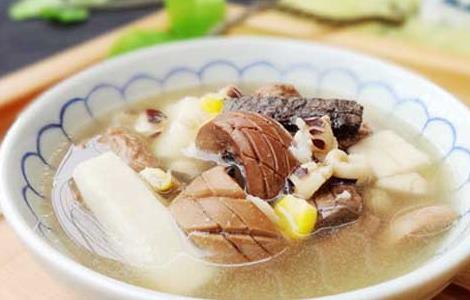 杜仲猪腰汤的功效和做法（杜仲猪腰汤做法大全）