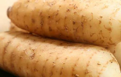 新鲜天麻怎么吃效果最好（新鲜天麻炖鸡怎么炖才好吃）