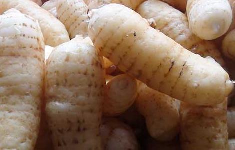 天麻钩藤饮的组成和功效(天麻钩藤饮的组成功效加减治疗哪些疾病)