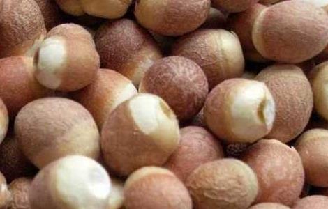 芡实有减肥功效吗 说一下芡实的功效