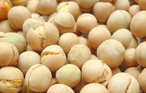 炒黄豆的功效和做法(炒黄豆的功效和做法大全)