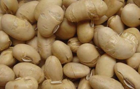 吃炒黄豆会发胖吗（吃炒黄豆会发胖吗女生）