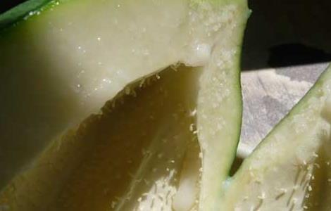 青木瓜怎么吃才丰胸 青木瓜怎么吃才丰胸快