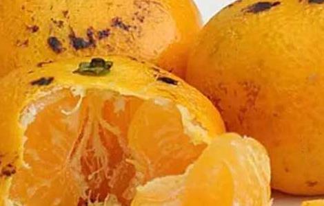 烤橘子的功效及做法 烘烤橘子的功效及做法