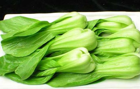 油菜怎么做好吃 油麦菜怎么做好吃