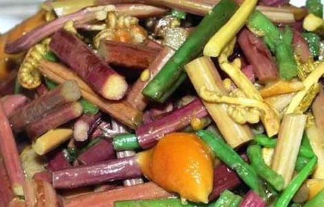 蕨菜炒肉的功效及做法（蕨菜能炒肉吗）