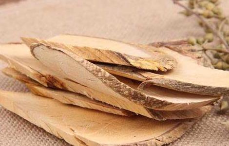 柘木的功效与作用（柘木的功效与作用图片）