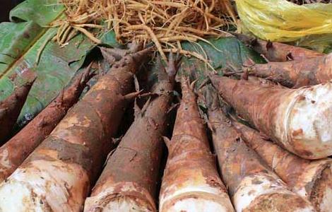 吃竹笋会不会过敏（吃竹笋会过敏吗 这些人群要注意）