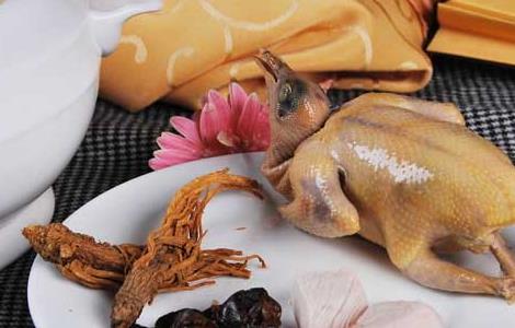 鸽肉炖冬虫夏草