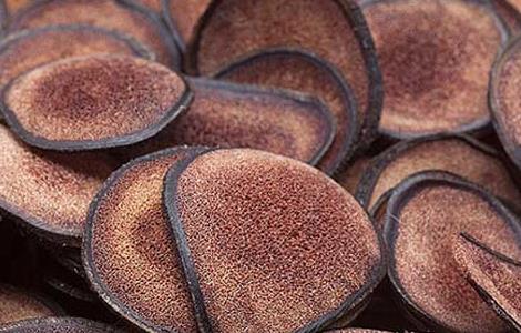 鹿茸泡酒配方大全（鹿茸泡酒配方大全图片）