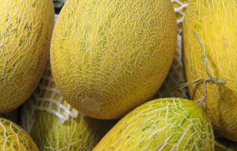 哈密瓜和什么榨汁好喝（哈密瓜和什么榨汁好喝一点）