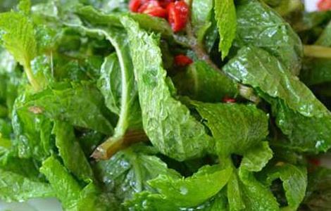 凉拌薄荷叶的功效及做法 凉拌薄荷叶的功效及做法窍门