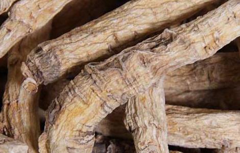 西洋参怎么吃效果最好（西洋参怎么吃效果最好 教你五种最佳方法）