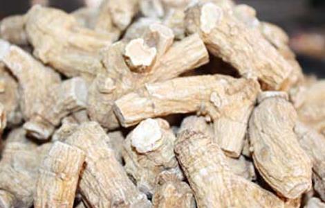 花旗参泡水喝的功效及禁忌（花旗参泡水喝的功效及禁忌）