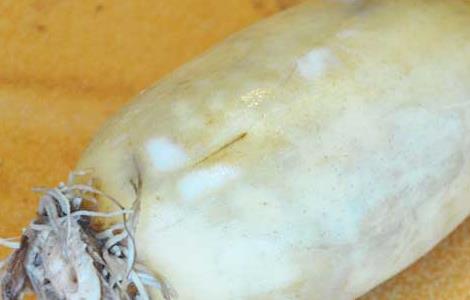 莲藕怎么炒好吃（莲藕怎么炒好吃又简单视频）