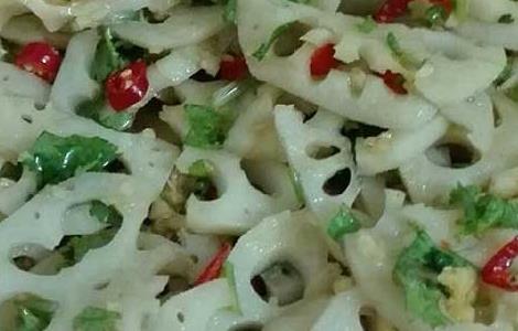 凉拌莲藕的功效及做法(凉拌莲藕的功效及做法大全)