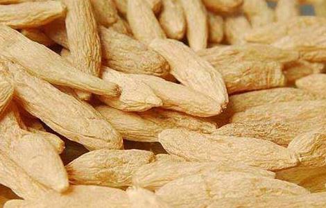 麦冬金银花茶的功效及做法(麦冬金银花茶的泡法)