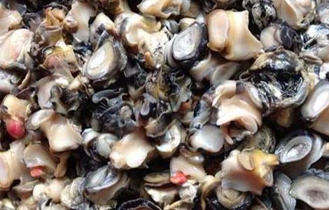 螺蛳肉怎么做好吃(海螺蛳肉怎么做好吃)