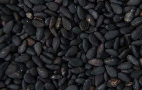 黑芝麻怎么吃最补肾 黑芝麻怎么吃最补肾效果好