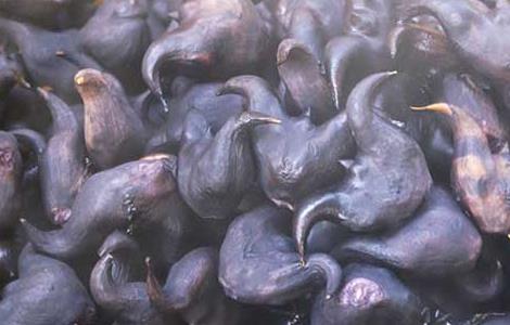 菱角怎么吃最好吃(菱角怎么吃最好吃图片)