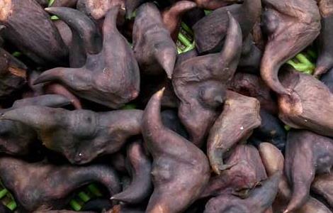 菱角怎么煮才好吃 菱角怎么煮才好吃菱角怎么炒着吃