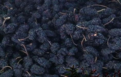 桑葚子的功效与作用及禁忌 桑葚子的功效与副作用