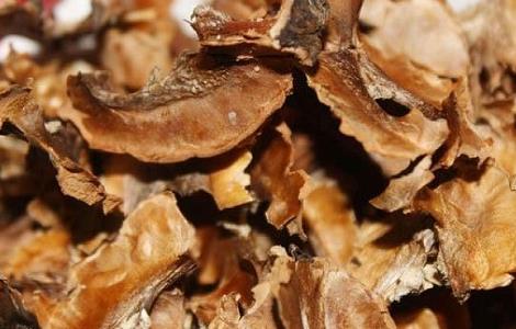 分心木泡水喝的功效和副作用(女性分心木泡水喝的功效和副作用)