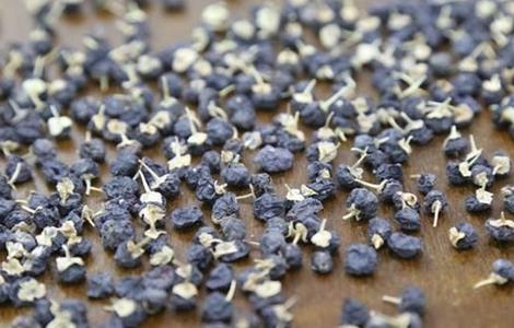 黑枸杞 功效 作用