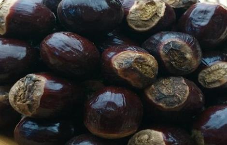 龙眼核功效与作用