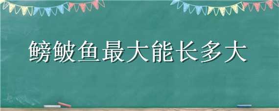 鳑鲏鱼最大能长多大（鳑鲏鱼最大可以长多大）