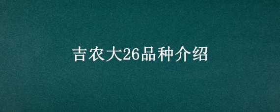 吉农大26品种介绍（吉农大604水稻品种）