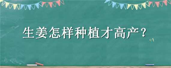 生姜怎样种植才高产 怎样种植生姜产量最高