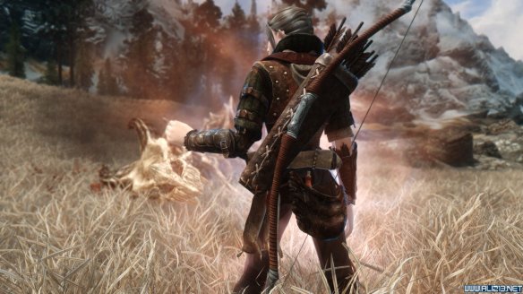 《上古卷轴5：天际》第三届龙裔参赛作品 混血精灵莫妮卡赏析攻略