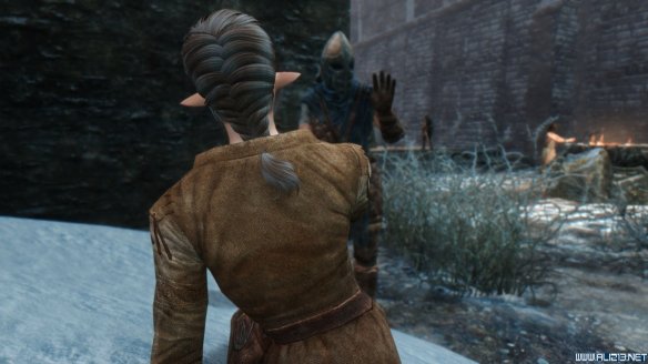 《上古卷轴5：天际》第三届龙裔参赛作品 混血精灵莫妮卡赏析攻略