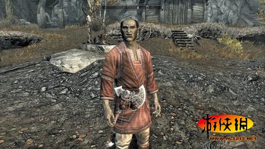 《上古卷轴5:天际》同伴招募条件及要点整理